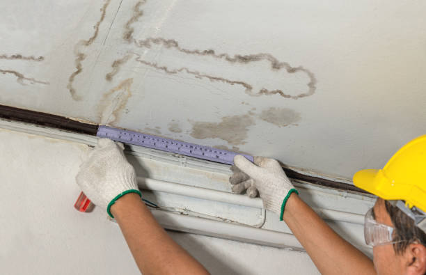 Affordable Ceiling Water Damage Repair solutions in Frontenac, KS